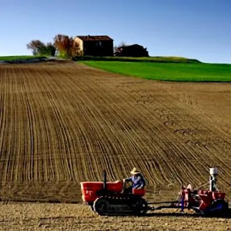 La Tana Della Lepre