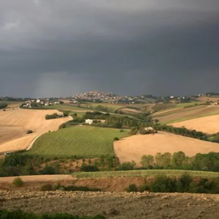 La Tana Della Lepre
