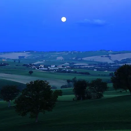 La Tana Della Lepre 3*
